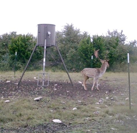 Lot 2 Highway 55 Rocksprings TX 78880