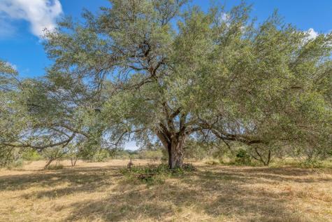 677 Kahn Drive Rio Frio TX 78879