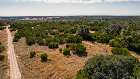425 Youngblood Trail Mountain Home TX 78058