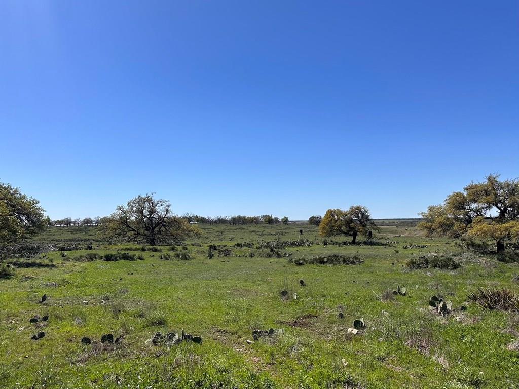 2112 Turkey Ridge Lane Harper TX 78631