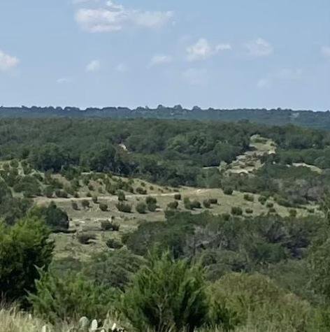 564 Cherry Springs Road Hunt TX 78024