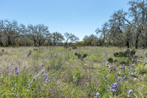 455 Elkhorn Circle Mountain Home TX 78058