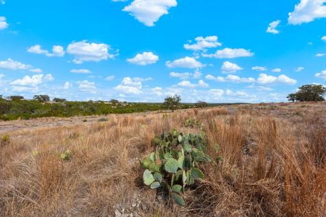 Lot 80 Firsching Road Kerrville TX 78028