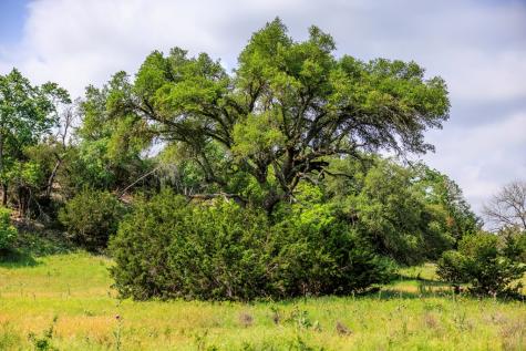 1820 Pressler-henke Road Kerrville TX 78028
