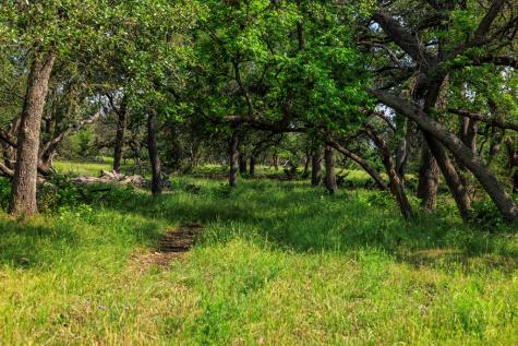 1820 Pressler-henke Road Kerrville TX 78028