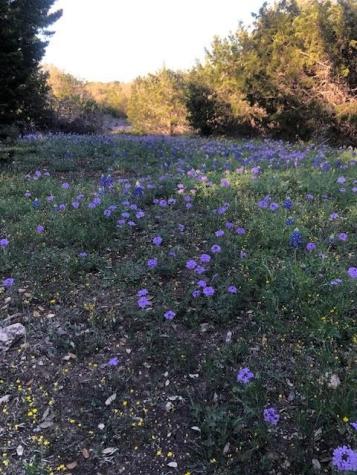933 Quarry Road London TX 76854