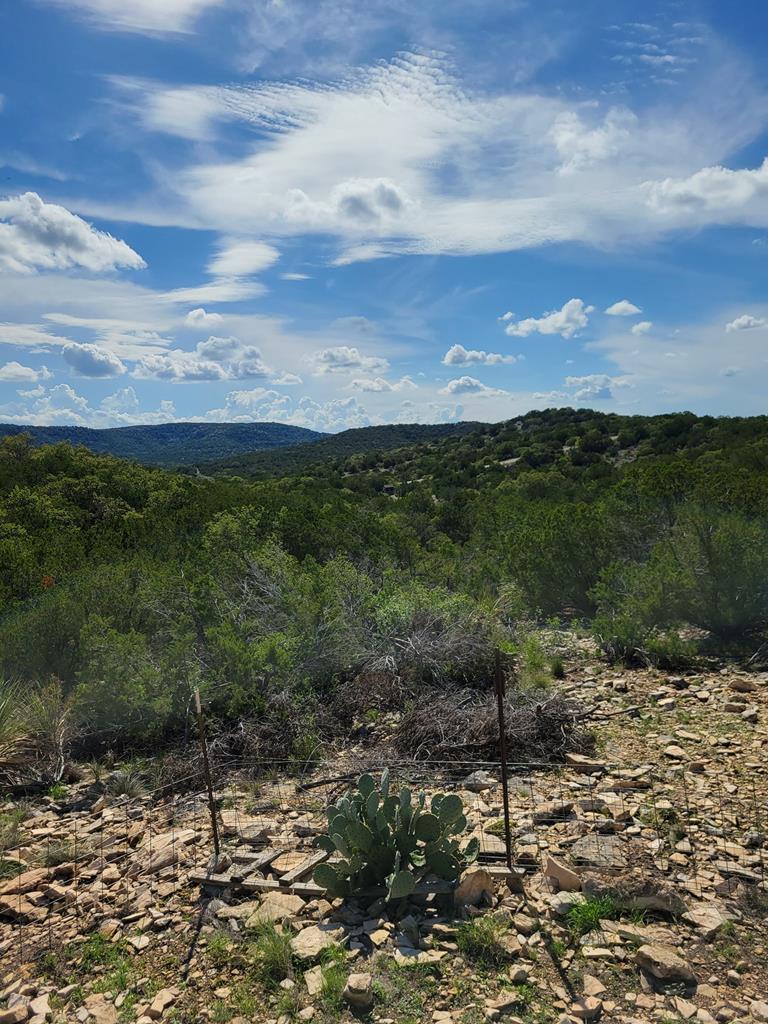 Lot 7 Fm 2523 Rocksprings TX 78880