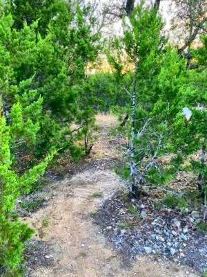 889 County Road 417 Camp Wood TX 78801
