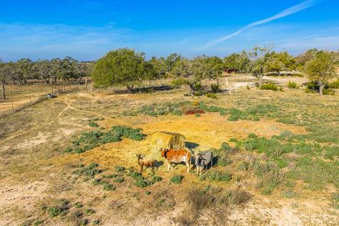 1031 Fm 479 Mountain Home TX 78058
