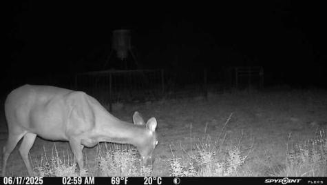 2242 Patterson Creek Road Leakey TX 78873
