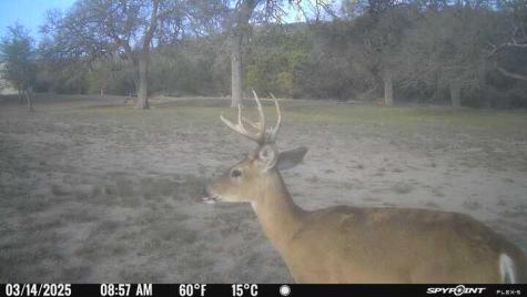 2242 Patterson Creek Road Leakey TX 78873
