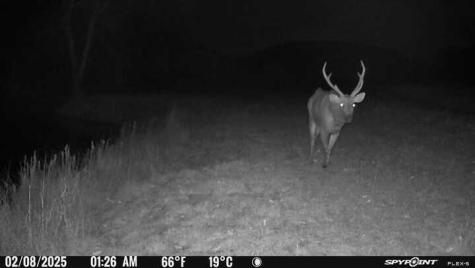 2242 Patterson Creek Road Leakey TX 78873