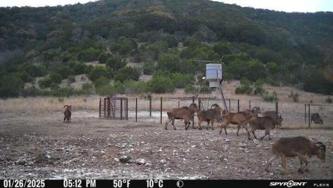 2242 Patterson Creek Road Leakey TX 78873