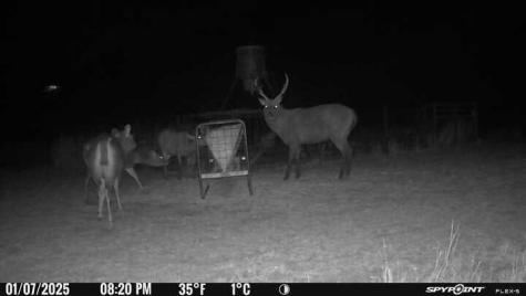 2242 Patterson Creek Road Leakey TX 78873