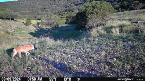 2242 Patterson Creek Road Leakey TX 78873