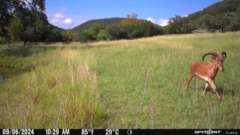 2242 Patterson Creek Road Leakey TX 78873