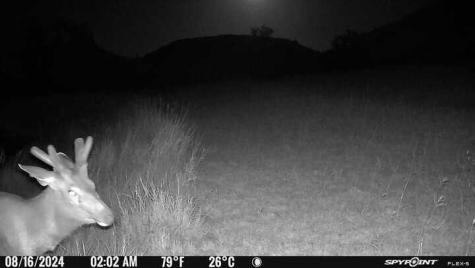 2242 Patterson Creek Road Leakey TX 78873