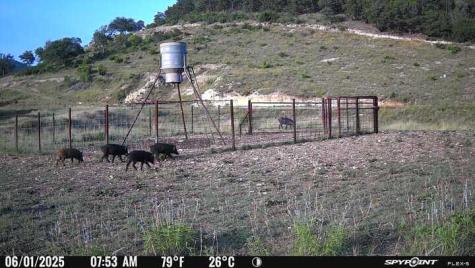 2242 Patterson Creek Road Leakey TX 78873