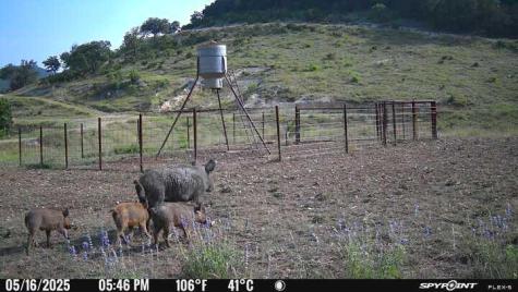 2242 Patterson Creek Road Leakey TX 78873