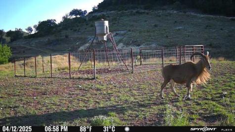 2242 Patterson Creek Road Leakey TX 78873