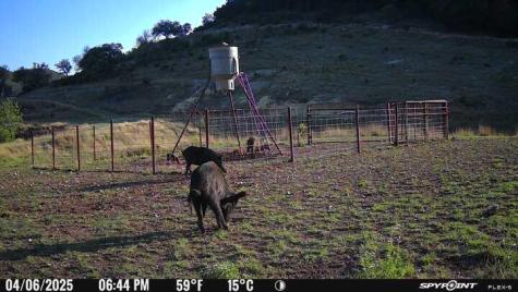 2242 Patterson Creek Road Leakey TX 78873