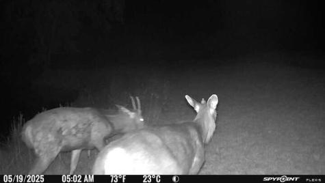 2242 Patterson Creek Road Leakey TX 78873