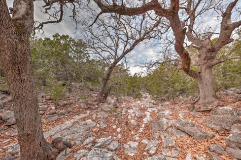 438-2 Yellowstone Lane Hunt TX 78024