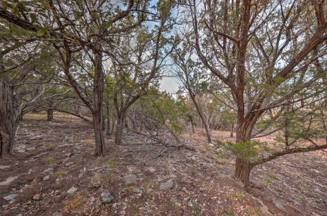 438-2 Yellowstone Lane Hunt TX 78024