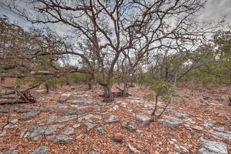 438-2 Yellowstone Lane Hunt TX 78024