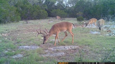 11695 County Road 350 Barksdale TX 78828
