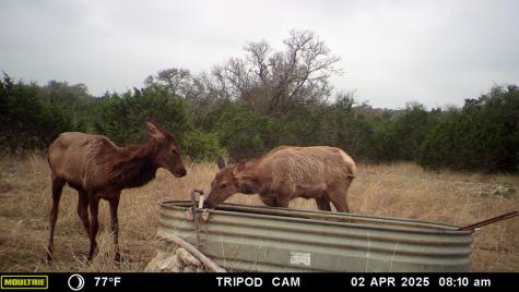 11695 County Road 350 Barksdale TX 78828