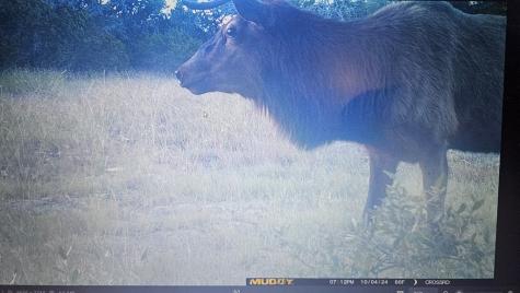 11695 County Road 350 Barksdale TX 78828