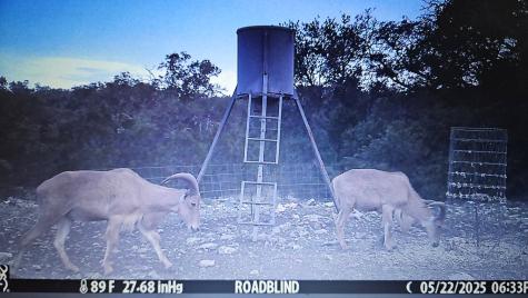 11695 County Road 350 Barksdale TX 78828