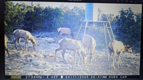11695 County Road 350 Barksdale TX 78828