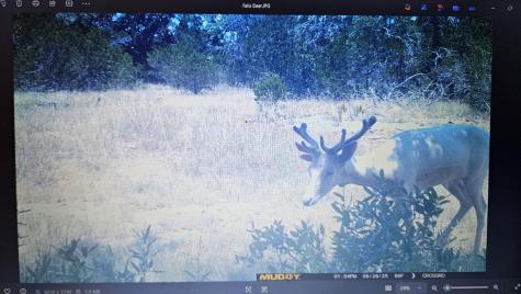 11695 County Road 350 Barksdale TX 78828
