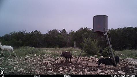 11695 County Road 350 Barksdale TX 78828