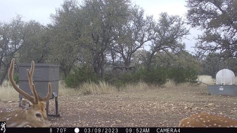 11695 County Road 350 Barksdale TX 78828