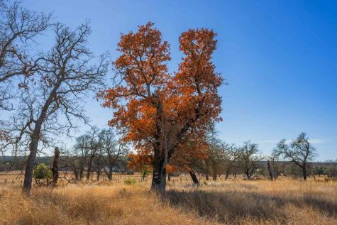 19415 Fm 2093 Harper TX 78631