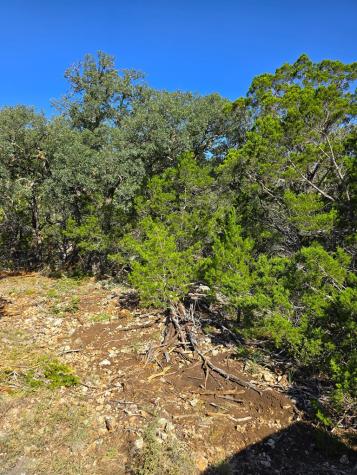 227 Mitchell Ranch Road Camp Wood TX 78833