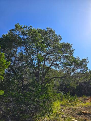 227 Mitchell Ranch Road Camp Wood TX 78833