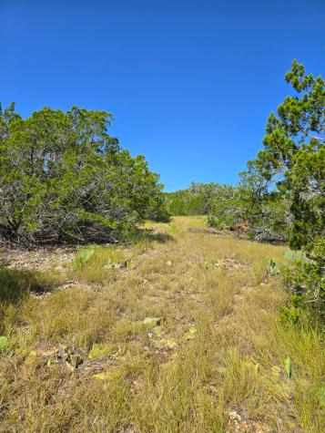 227 Mitchell Ranch Road Camp Wood TX 78833