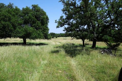 1405 Byas Springs Road W Mountain Home TX 78058