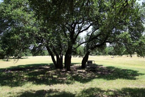 1405 Byas Springs Road W Mountain Home TX 78058