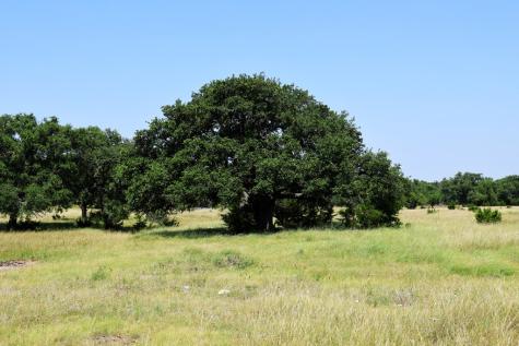 1405 Byas Springs Road W Mountain Home TX 78058