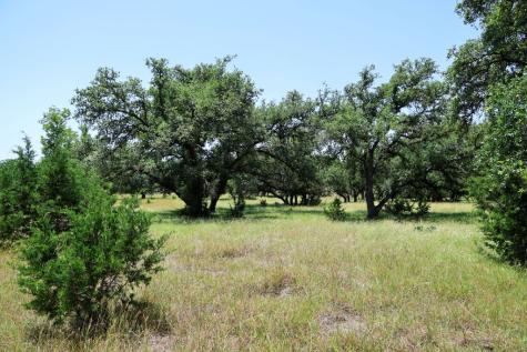 1405 Byas Springs Road W Mountain Home TX 78058