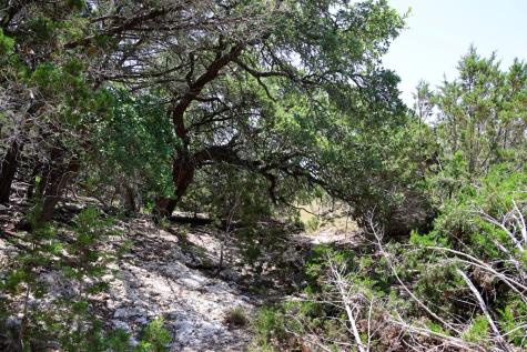 1405 Byas Springs Road W Mountain Home TX 78058