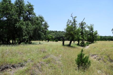 1405 Byas Springs Road W Mountain Home TX 78058