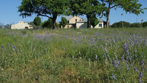 2320 Fiedler Road Harper TX 78028