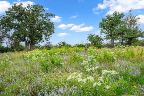 2320 Fiedler Road Harper TX 78028