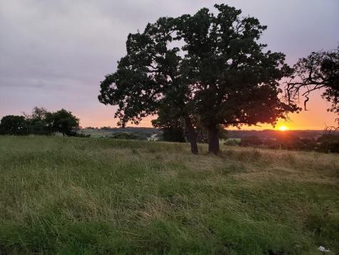 2320 Fiedler Road Harper TX 78028